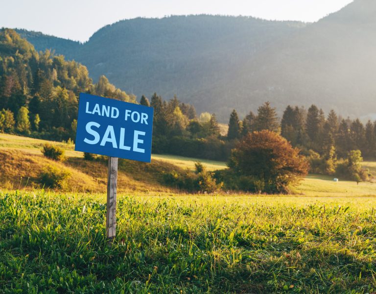 Land for sale sign in meadow in summer morning